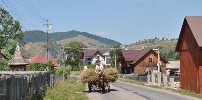 21. Koňský povoz ve vesnici Plesza
